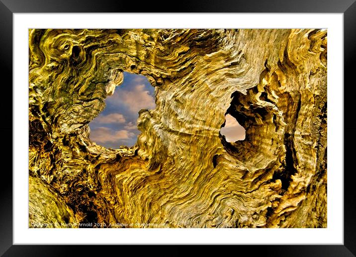 Heart of the Tree Framed Mounted Print by Martyn Arnold