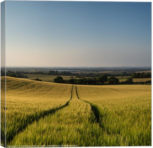 Stunning countryside landscape wheat field in Summer sunset Canvas Print by Matthew Gibson