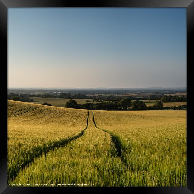 Stunning countryside landscape wheat field in Summer sunset Framed Print by Matthew Gibson