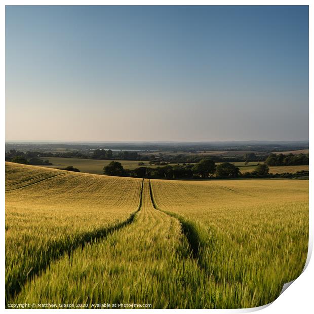 Stunning countryside landscape wheat field in Summer sunset Print by Matthew Gibson