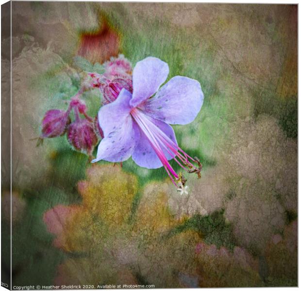 English Garden Flower with textures wall art Canvas Print by Heather Sheldrick