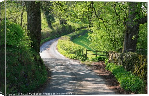 Windy Lane through Ridding Wood at Near Sawrey  Canvas Print by Robert Thrift