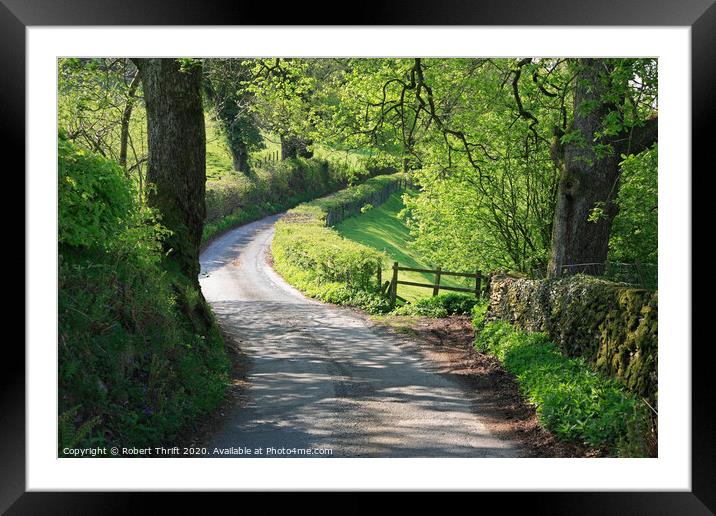 Windy Lane through Ridding Wood at Near Sawrey  Framed Mounted Print by Robert Thrift