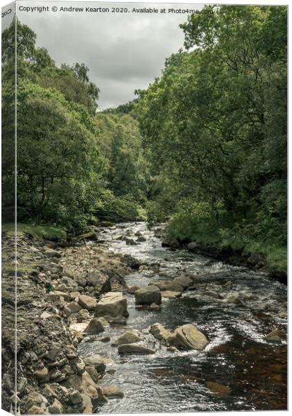 Gunnerside Beck, Swaledale, North Yorkshire Canvas Print by Andrew Kearton