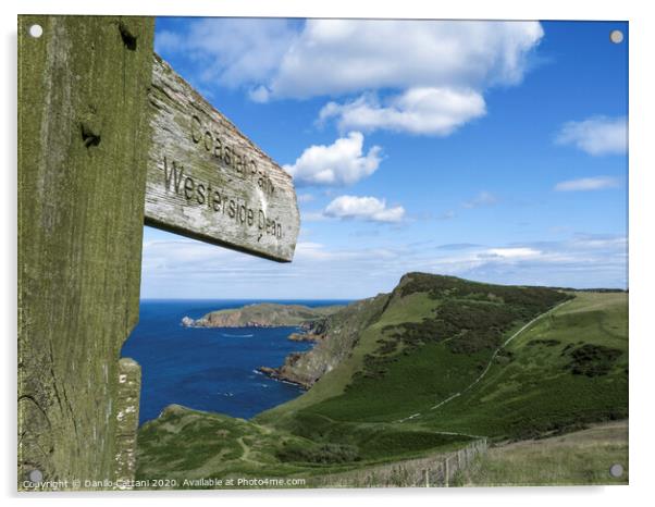 Coastal Path in Scotland Acrylic by Danilo Cattani