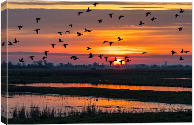 Ducks Taking Off at Sunset Canvas Print by Arterra 