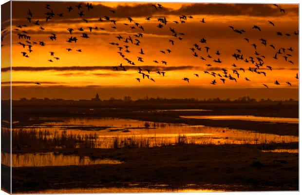Flock of Ducks Flying over Wetland Canvas Print by Arterra 