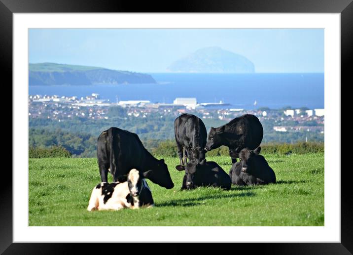 Field with a view Framed Mounted Print by Allan Durward Photography