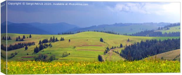 Beautiful panorama of the Carpathian Mountains in summer sunlight pours on a green grassy hill illuminating the way along a dirt rural road Canvas Print by Sergii Petruk