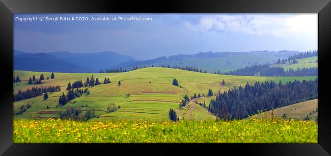 Beautiful panorama of the Carpathian Mountains in summer sunlight pours on a green grassy hill illuminating the way along a dirt rural road Framed Print by Sergii Petruk