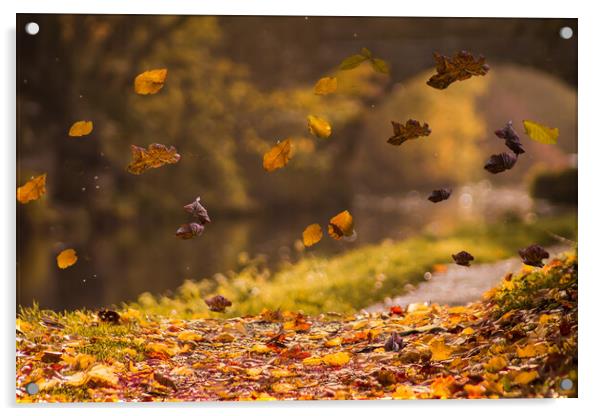 Falling Leaves Acrylic by Judith Oatley