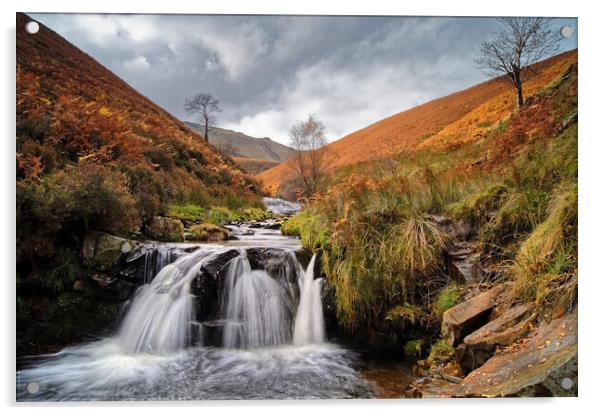 Fair Brook Waterfall Acrylic by Darren Galpin