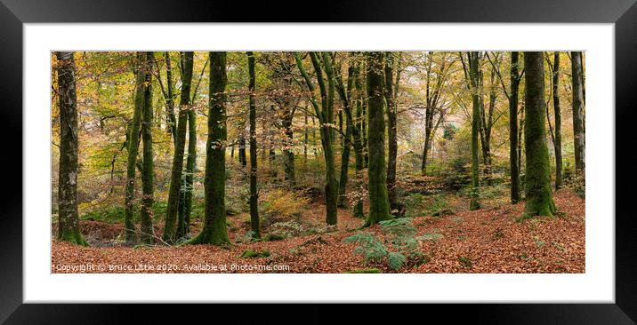 Enchanting Dartmoor Fall Foliage Framed Mounted Print by Bruce Little