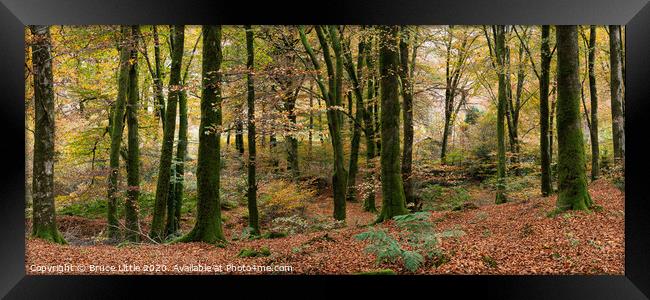 Enchanting Dartmoor Fall Foliage Framed Print by Bruce Little