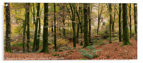 Enchanting Dartmoor Fall Foliage Acrylic by Bruce Little