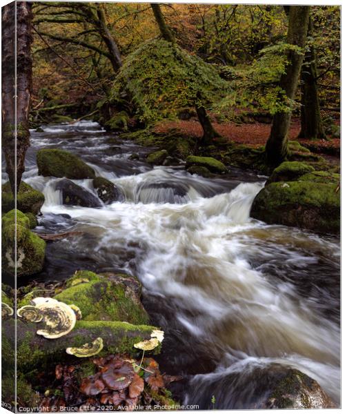 White water in Burrator woods Canvas Print by Bruce Little