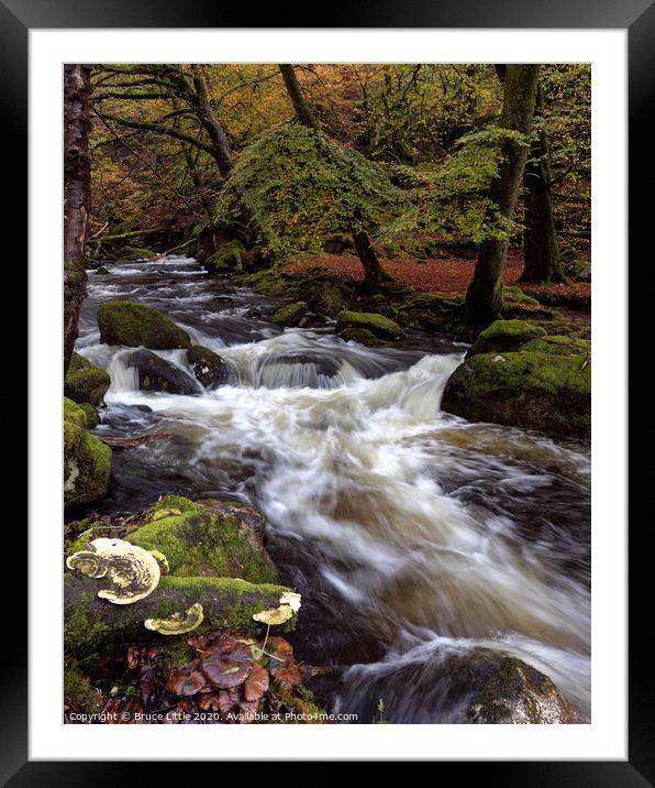 White water in Burrator woods Framed Mounted Print by Bruce Little