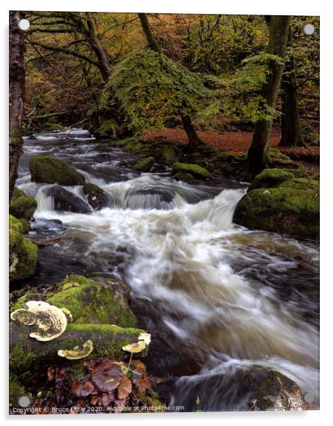 White water in Burrator woods Acrylic by Bruce Little