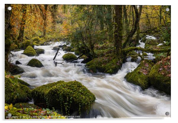 Autumnal Dartmoor Rapids Acrylic by Bruce Little
