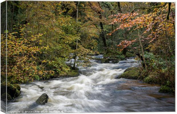 River Bovey Rapids Canvas Print by Bruce Little