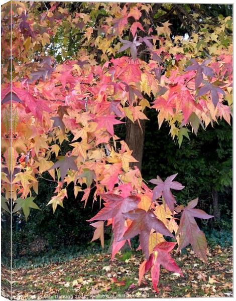 Autumnal Leaves Canvas Print by Ailsa Darragh