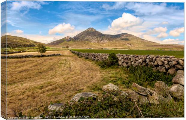 The Mountains of Mourne Canvas Print by jim Hamilton