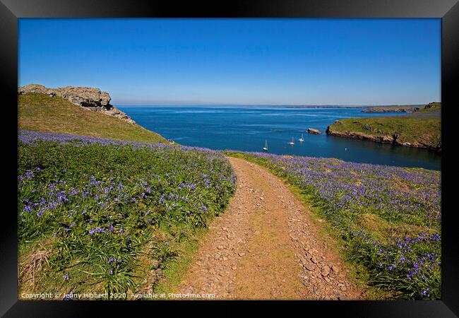 Skomer Island in springtime with the Bluebells out Framed Print by Jenny Hibbert