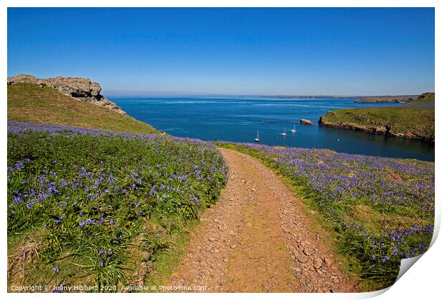 Skomer Island in springtime with the Bluebells out Print by Jenny Hibbert