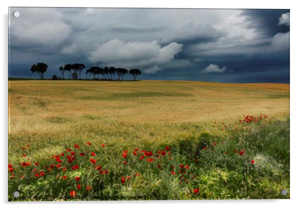 Field with poppies, trees and clouds. Horizontal Acrylic by Vicente Sargues