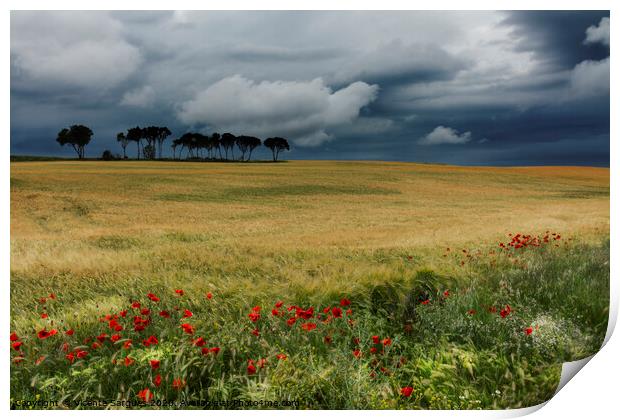Field with poppies, trees and clouds. Horizontal Print by Vicente Sargues