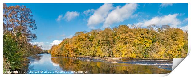 Autumn Panorama on the Tees at Wycliffe Print by Richard Laidler