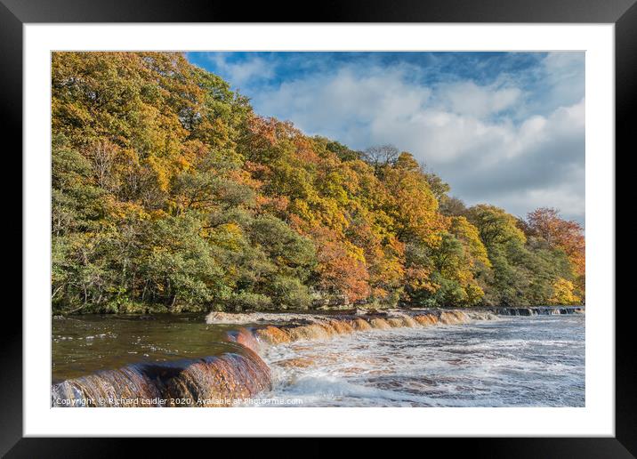 Autumn on the River Tees at Whorlton, Teesdale Framed Mounted Print by Richard Laidler