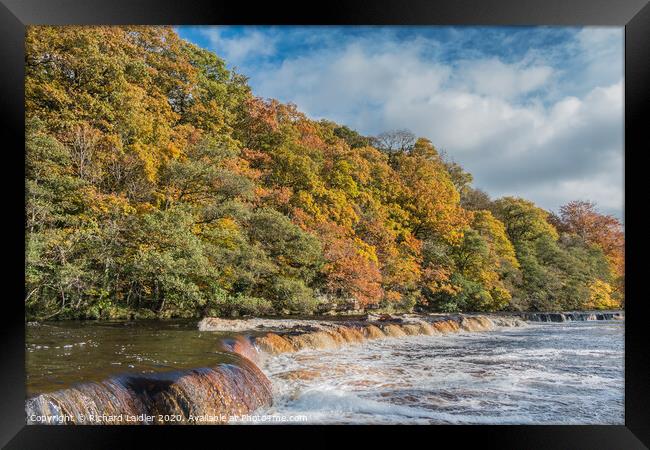 Autumn on the River Tees at Whorlton, Teesdale Framed Print by Richard Laidler