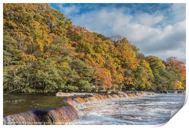 Autumn on the River Tees at Whorlton, Teesdale Print by Richard Laidler