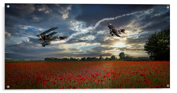 Dogfight over Flanders Acrylic by David Tyrer