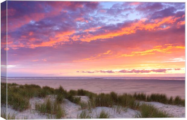 Dunes on Texel at Sunset Canvas Print by Arterra 
