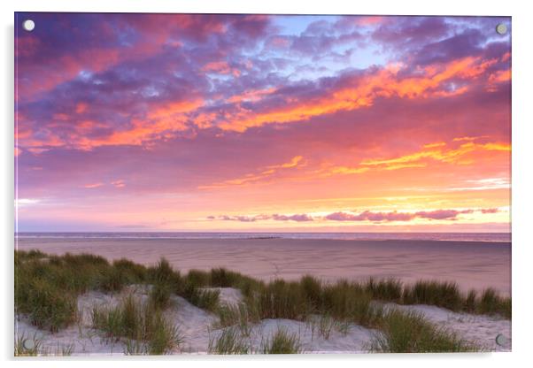 Dunes on Texel at Sunset Acrylic by Arterra 