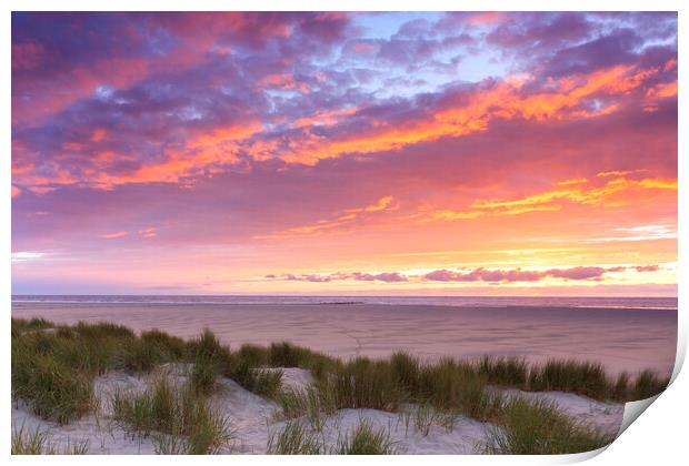 Dunes on Texel at Sunset Print by Arterra 