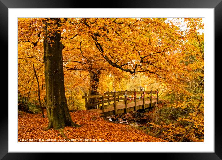Autumn's Allure at Longshaw Estate Framed Mounted Print by Holly Burgess