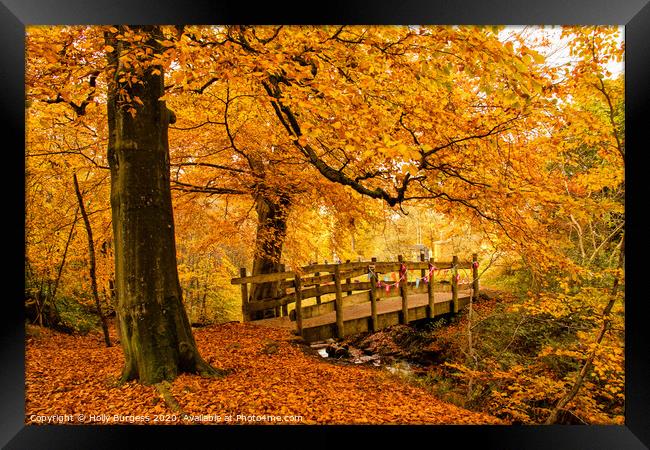 Autumn's Allure at Longshaw Estate Framed Print by Holly Burgess
