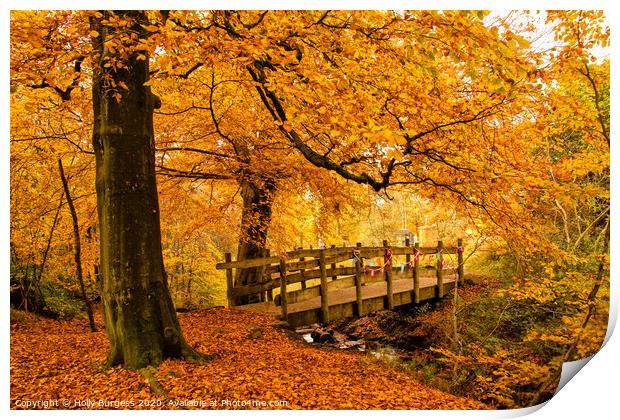 Autumn's Allure at Longshaw Estate Print by Holly Burgess