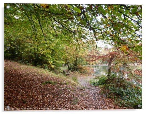 Walk by Keston Ponds in the autumn Acrylic by Ursula Keene