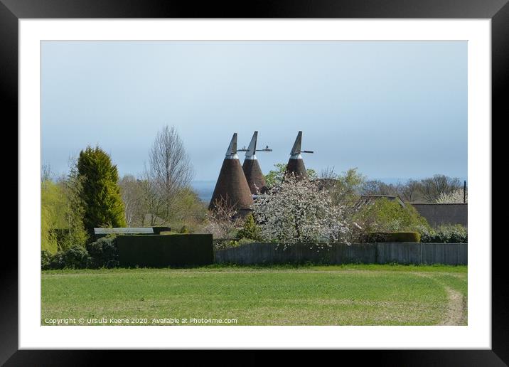 Oast House in Kent Framed Mounted Print by Ursula Keene