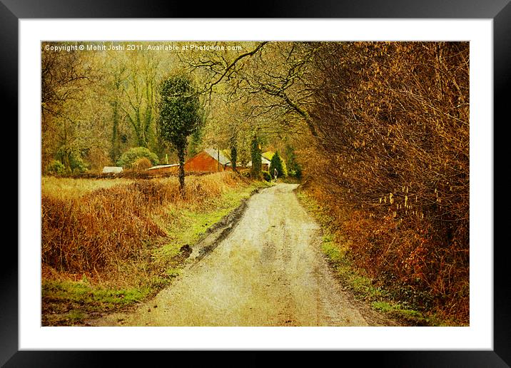 Colourful Path Framed Mounted Print by Mohit Joshi
