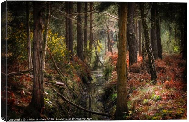 Autumn in the forest at Padworth Canvas Print by Simon Marlow