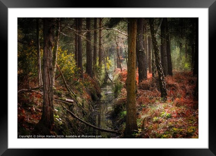 Autumn in the forest at Padworth Framed Mounted Print by Simon Marlow