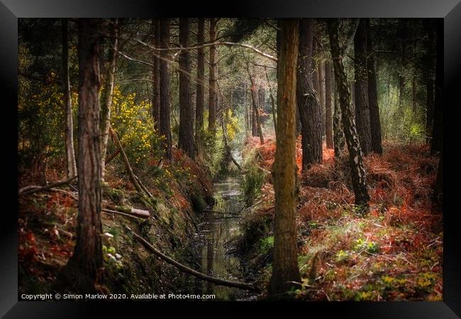 Autumn in the forest at Padworth Framed Print by Simon Marlow