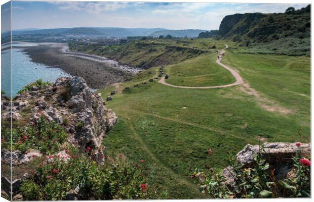 View from the Little Orme Canvas Print by Wendy Williams CPAGB