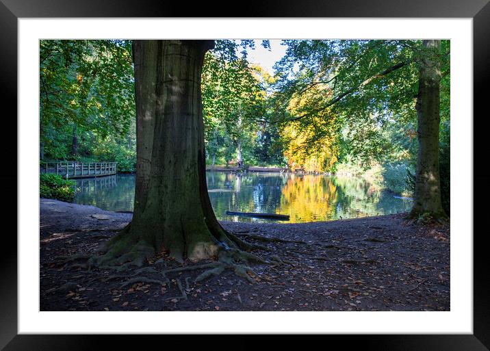 Lakeside  Framed Mounted Print by simon alun hark