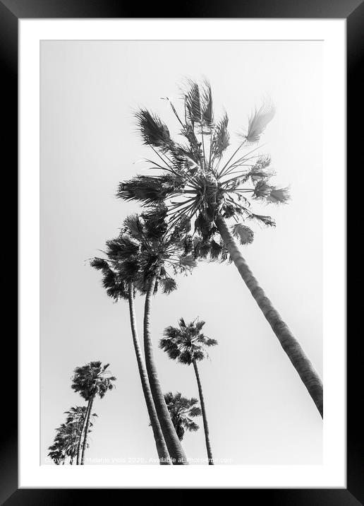 Palm trees in the sun | black and white Framed Mounted Print by Melanie Viola